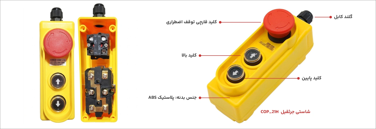شاستی جرثقیل 2 کلید قدرت + قارچی 2 شستی جرثقیل CNTD COP_21H