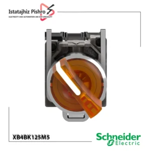 سلکتور سوئیچ اشنایدرالکتریک XB4BK125M5