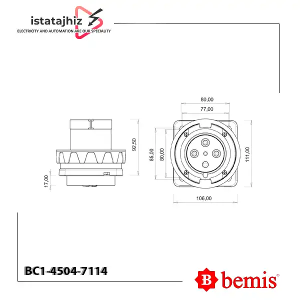 پلاگ تابلویی توکار BC1-4504-7114 Bemis 2 پلاگ تابلویی توکار BC1-4504-7114 Bemis